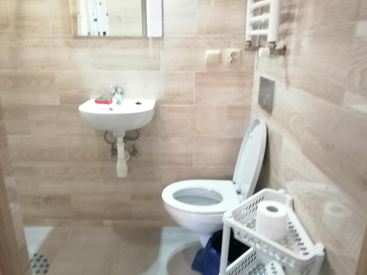 Jasionka Daire Ustrzyki Dolne Dış mekan fotoğraf