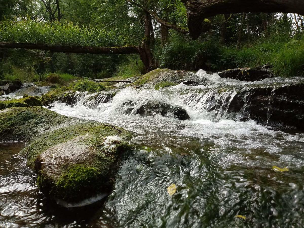 Jasionka Daire Ustrzyki Dolne Dış mekan fotoğraf